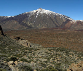 isla de Tenerife ajj vans