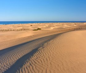Dunas Más palomas en Canarias