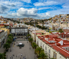 Las palmas de Gran Canaria