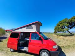 IMG_20230420_113515 (1)